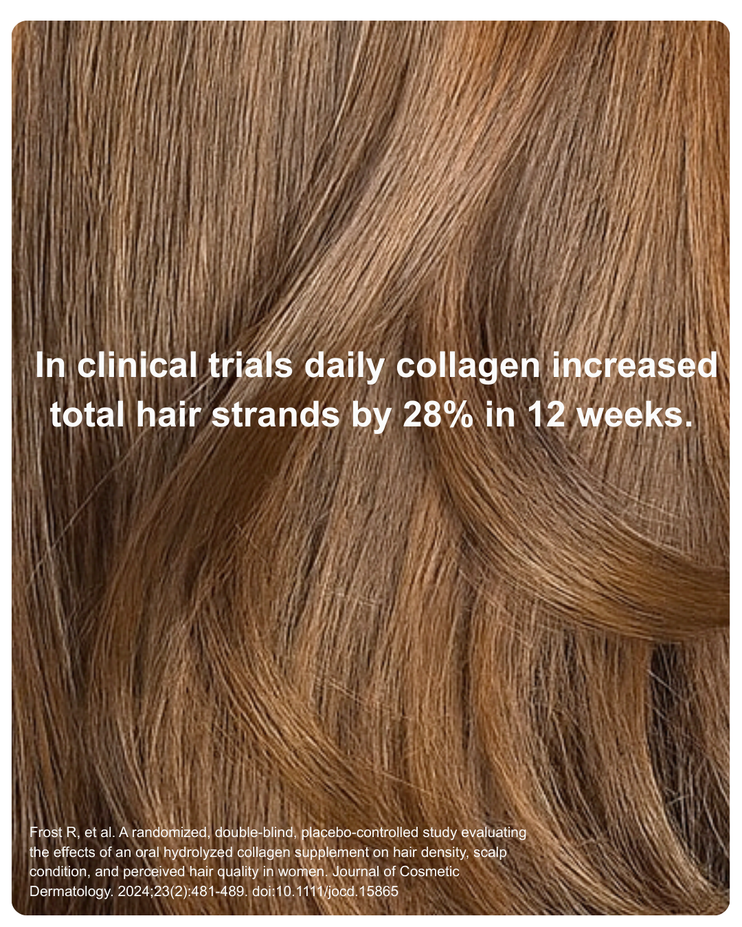 Hair Extension Powder 💇‍♀️