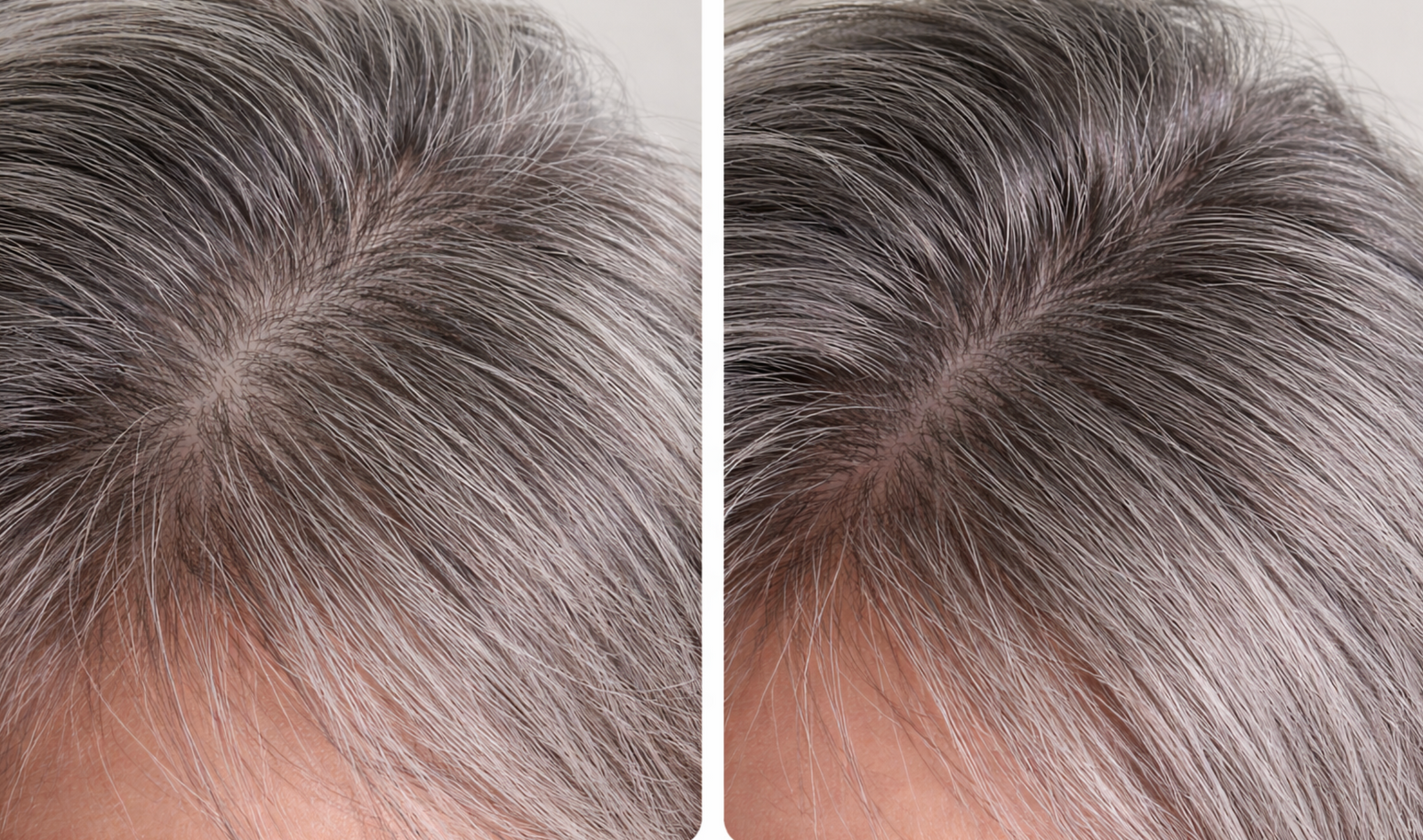 Trusted By More Than 40,000 Customers Globally